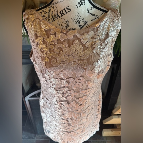 DRESS THE POPULATION Audrey Sequin
Lace Dress Blush Champagne Large Mother Bride - Picture 4 of 10